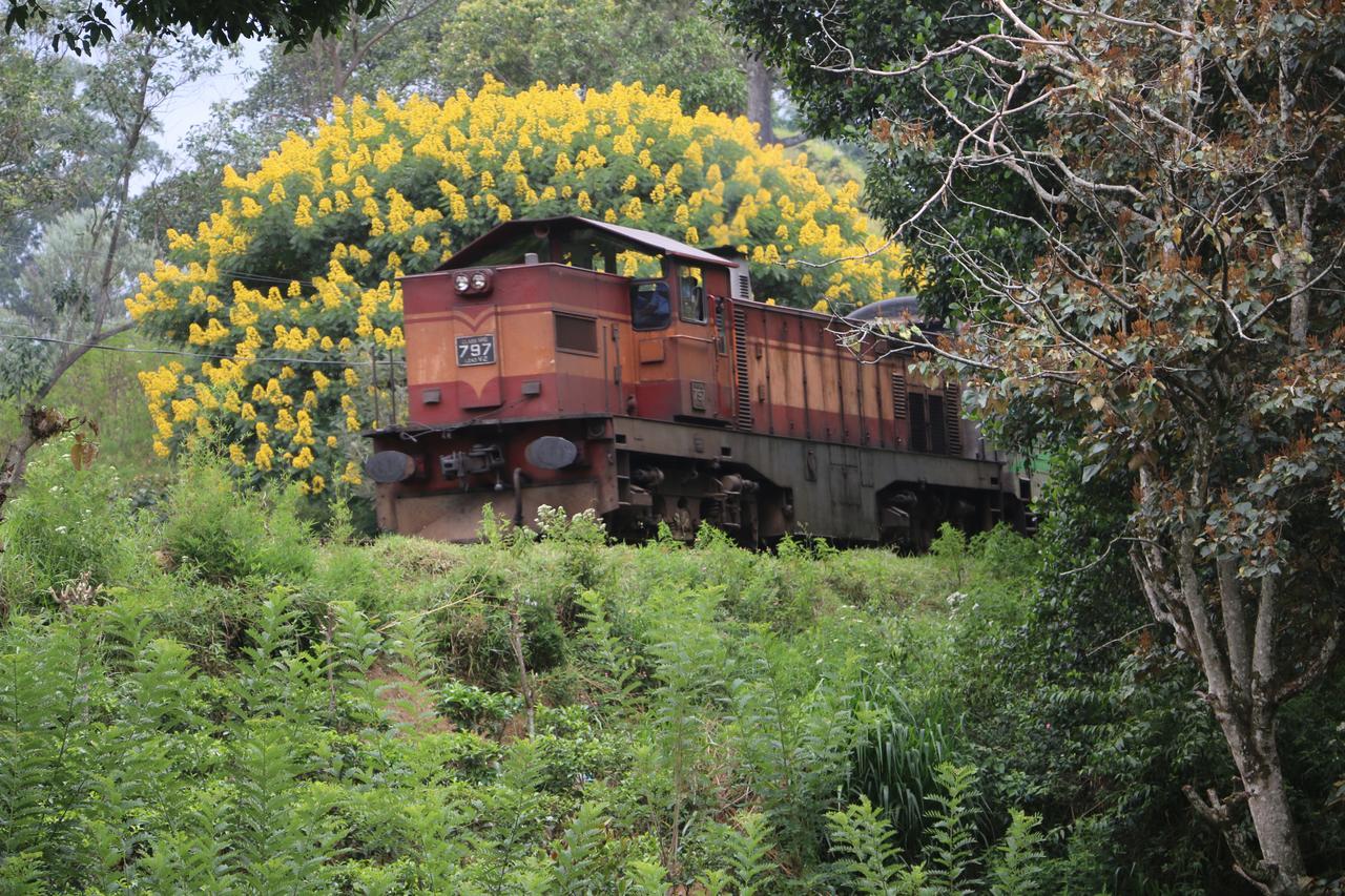 Train View Chalet Bandarawela Exterior photo